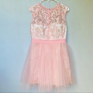 Little Mistress Pink Mesh & Tulle Paisley Dress